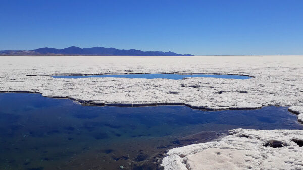 Salinas Grandes + Purmamarca - Imagen 4