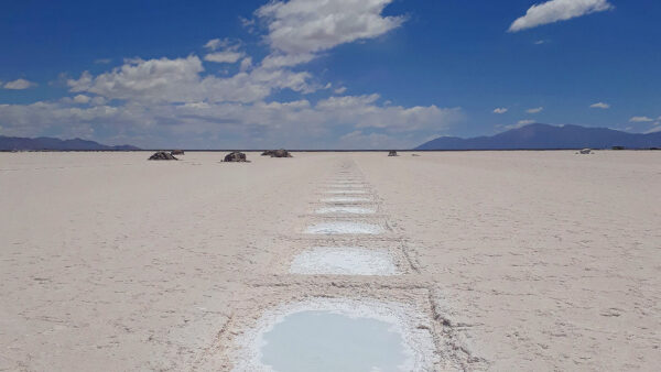 Salinas Grandes + Purmamarca - Imagen 5