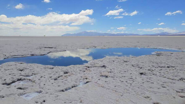 Salinas Grandes + Purmamarca - Imagen 6